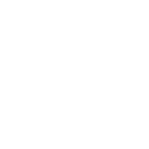 Dicks Sporting Goods Symphony Talent